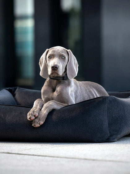 Westwing Cama Para Mascotas En Terciopelo Buffalo Tamaños Diferentes