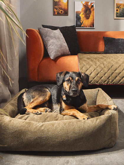 Westwing Cama Para Mascotas Tudor Tamaños Diferentes
