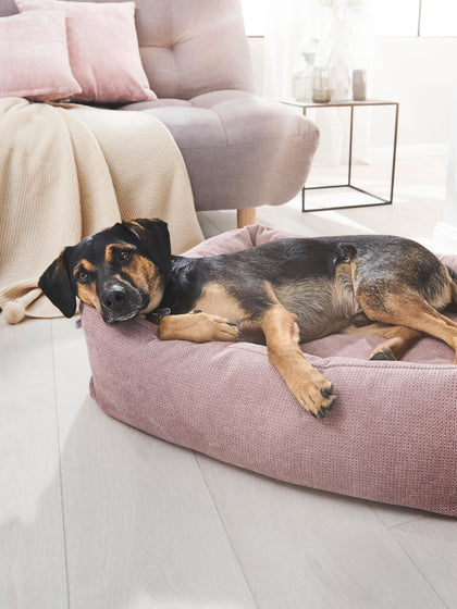 Westwing Cama Para Mascotas Tudor Tamaños Diferentes