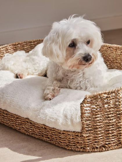 Westwing Cojín Para Animales Reversible Codie 60 Cm