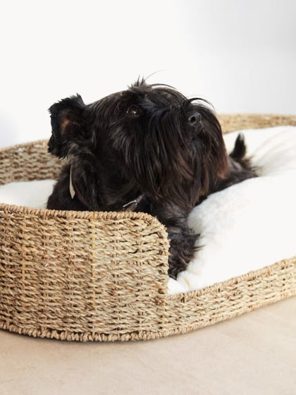 Westwing Cojín Para Animales Reversible Codie 80 Cm
