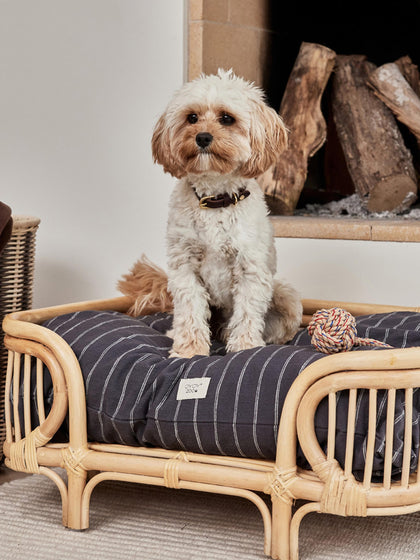 Westwing Cojín Para Mascotas De Algodón Kyoto Tamaños Diferentes