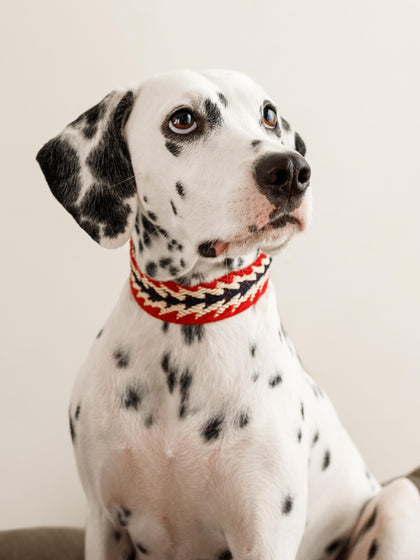 Westwing Collar Para Mascotas Artesanal Peruvian Arrov Tamaños Diferentes