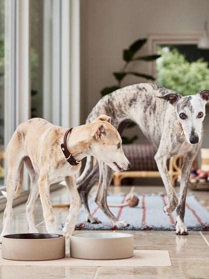 Westwing Comederos Para Mascotas Sia Tamaños Diferentes