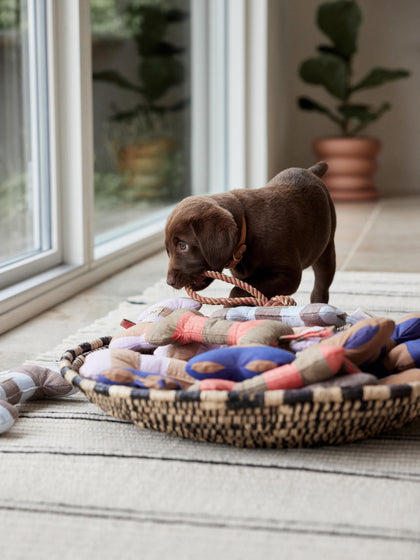 Westwing Juguete Hueso Para Perros Ashi Tamaños Diferentes