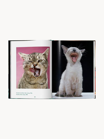 Westwing Libro Ilustrado Cats. Photographs 1942–2018