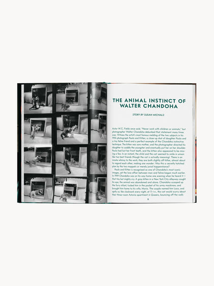 Westwing Libro Ilustrado Cats. Photographs 1942–2018