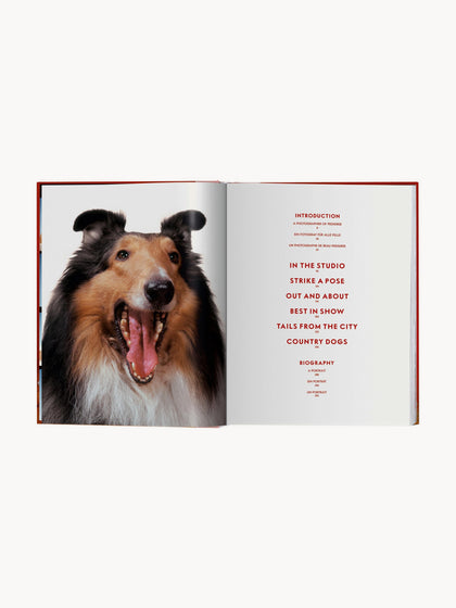Westwing Libro Ilustrado Dogs. Photographs 1941–1991