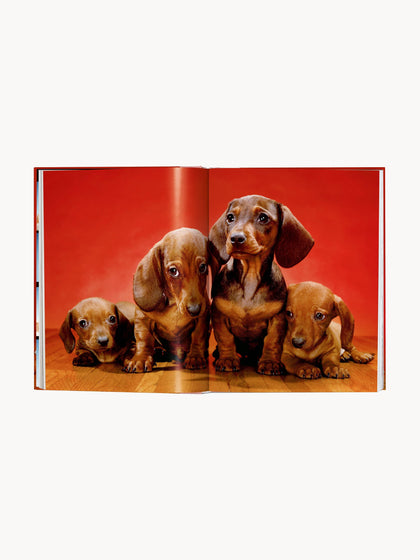 Westwing Libro Ilustrado Dogs. Photographs 1941–1991