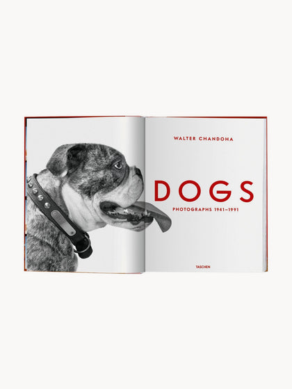 Westwing Libro Ilustrado Dogs. Photographs 1941–1991