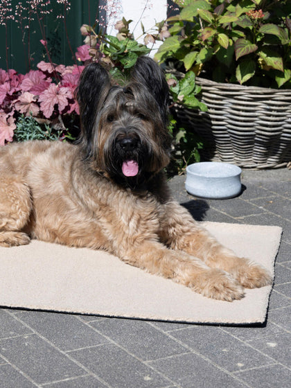 Westwing Manta Para Mascotas De Borreguillo Con Reverso Antideslizante Tamaños Diferentes