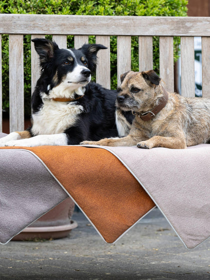 Westwing Manta Para Mascotas De Borreguillo Con Reverso Antideslizante Buffalo Tamaños Diferentes