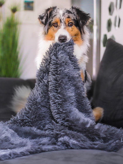 Westwing Manta Para Mascotas De Borreguillo Fluffy Tamaños Diferentes