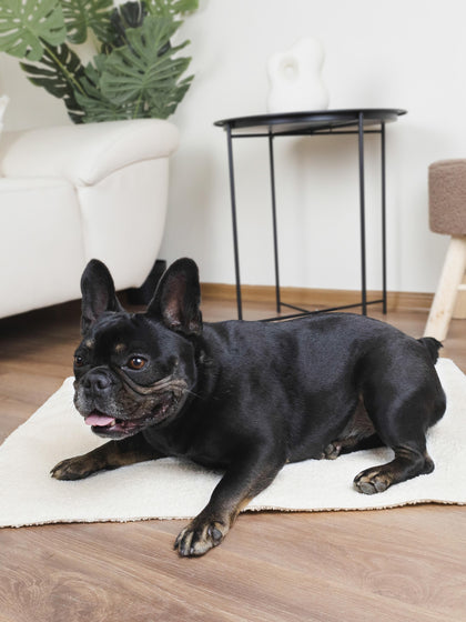 Westwing Manta Para Mascotas En Tejido Bouclé Balance Tamaños Diferentes