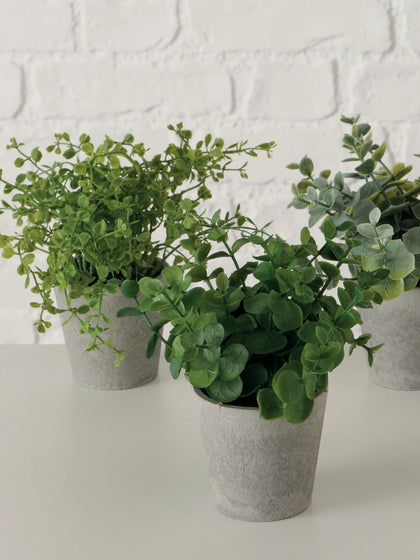 Westwing Plantas Artificiales Con Macetas Timothy 3 uds