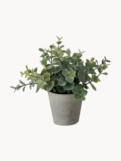 Westwing Plantas Artificiales Con Macetas Timothy 3 uds