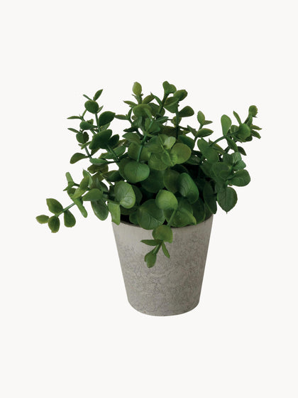 Westwing Plantas Artificiales Con Macetas Timothy 3 uds