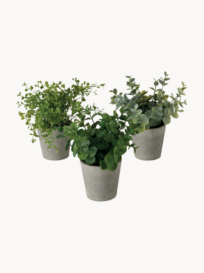 Westwing Plantas artificiales con macetas Timothy 3 uds