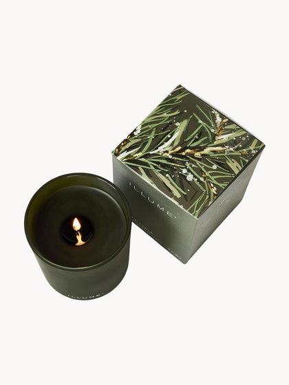 Westwing Recambio De Vela Perfumada Refill (agujas De Pino Canela Y Musgo De Roble)