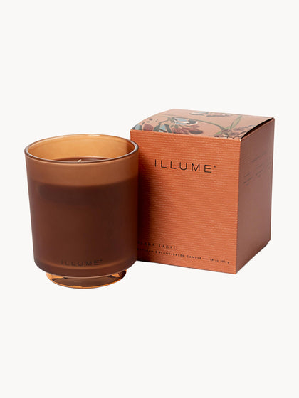 Westwing Recambio de vela perfumada Refill (almizcle de cachemira hoja de tabaco y naranja)