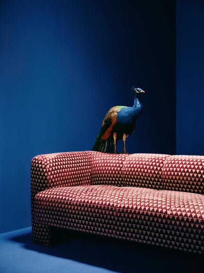 Westwing Sofá De Diseño DEDAR Milano X Westwing Bobi (2 Plazas)