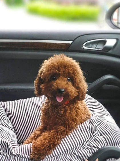 Westwing Sofá Para Mascotas Con Cinturón De Seguridad Premium Tamaños Diferentes