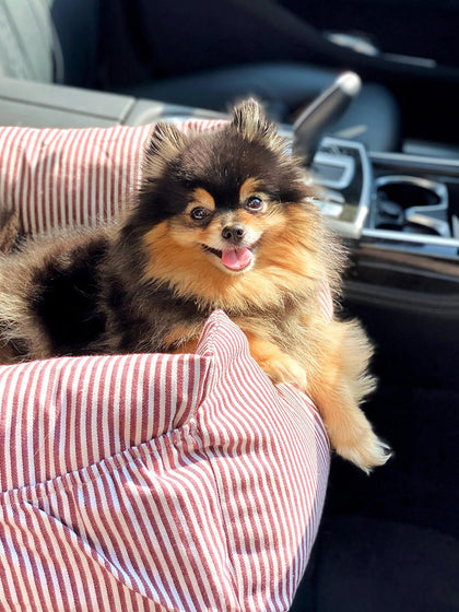 Westwing Sofá Para Mascotas Con Cinturón De Seguridad Premium Tamaños Diferentes