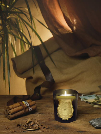 Westwing Vela Perfumada Artesanal Cyrnos (higo Negro Madera De Cedro Lavanda & Pino)
