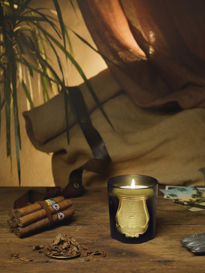 Westwing Vela Perfumada Artesanal Solis Rex (corteza De Abeto)