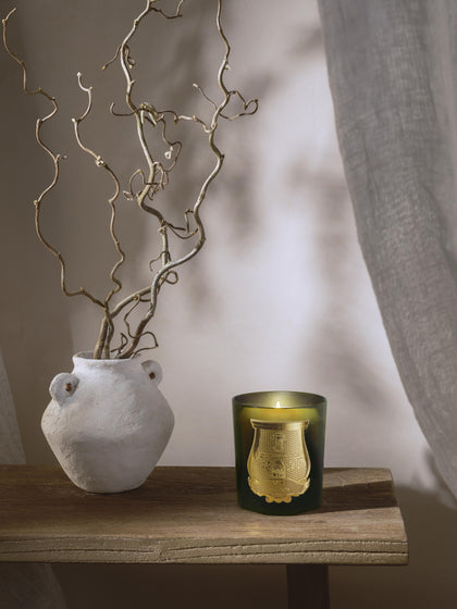 Westwing Vela Perfumada Artesanal Solis Rex (corteza De Abeto)