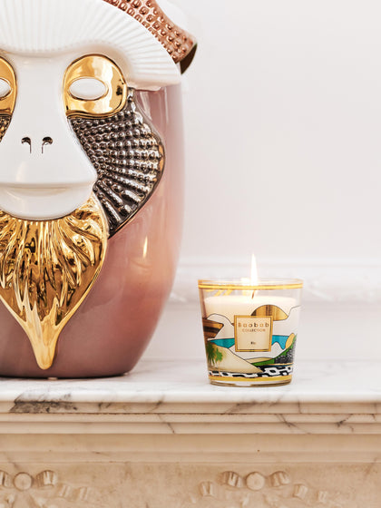 Westwing Vela Perfumada My First Baobab Rio (bergamota Cardamomo Y Almizcle)
