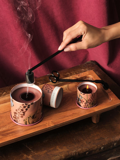 Westwing Vela Perfumada Vanity Tin (almizcle De Cachemira Hoja De Tabaco Y Naranja)