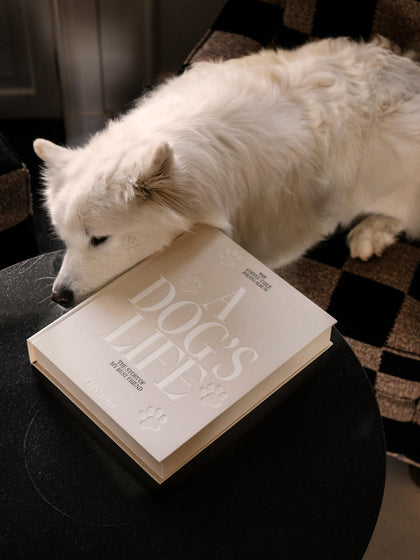 Westwing Álbum De Fotos A Dog's Life