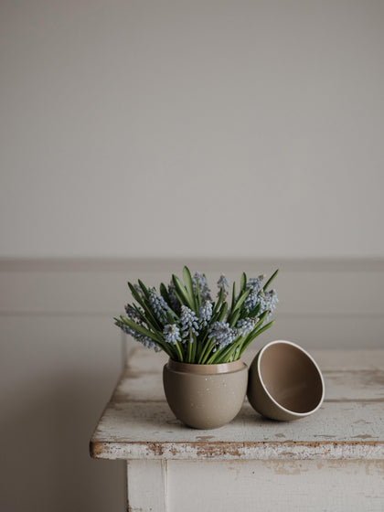 Westwing Bombonera Pintada A Mano Shell