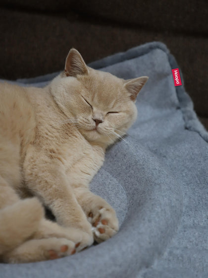 Westwing Cama Para Gatos Flip