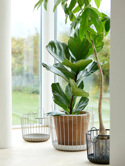 Westwing Cesta Inu 31 Cm