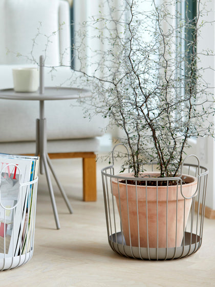 Westwing Cesta Inu 31 Cm