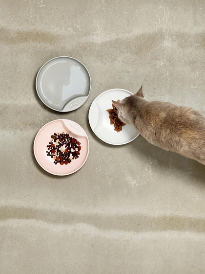 Westwing Comedero Para Mascotas De Porcelana Plate