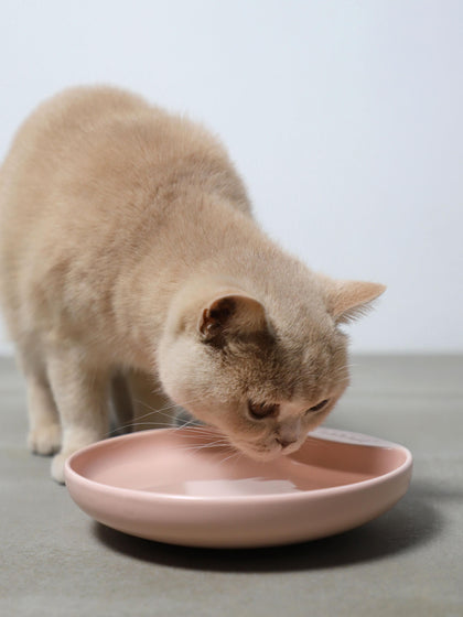 Westwing Comedero Para Mascotas De Porcelana Plate