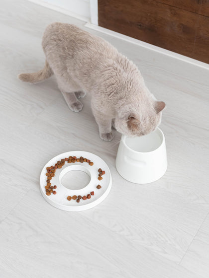 Westwing Comedero Para Mascotas De Porcelana Tower