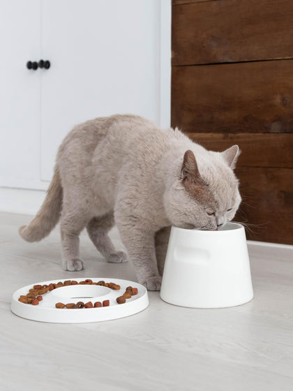 Westwing Comedero Para Mascotas De Porcelana Tower