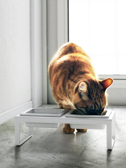 Westwing Comedero Para Mascotas Tower