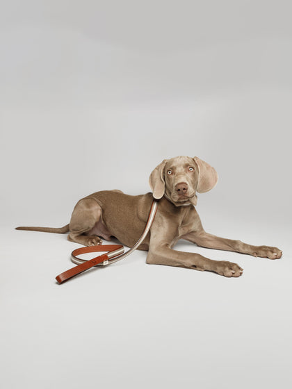 Westwing Correa Para Mascotas Artesanal Baseball
