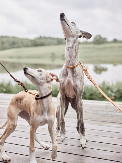 Westwing Correa Para Mascotas De Cuero Robin