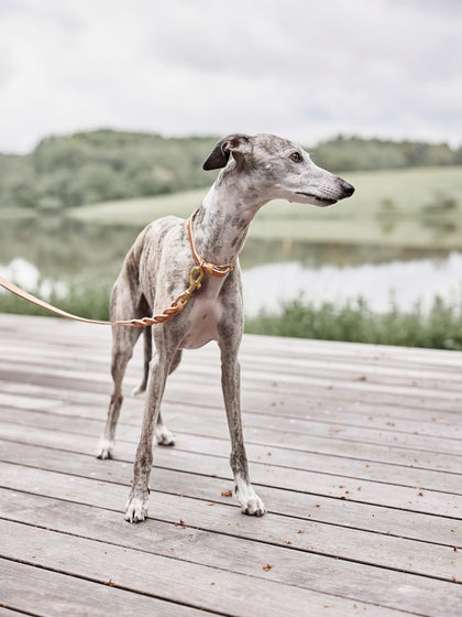 Westwing Correa Para Mascotas De Cuero Robin
