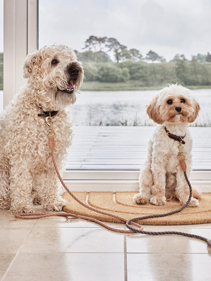 Westwing Correa Para Mascotas Perry