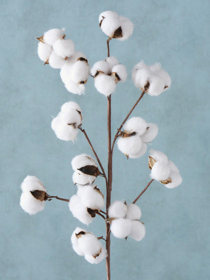 Westwing Flor Arificial Baumwolle
