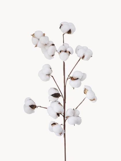 Westwing Flor arificial Baumwolle
