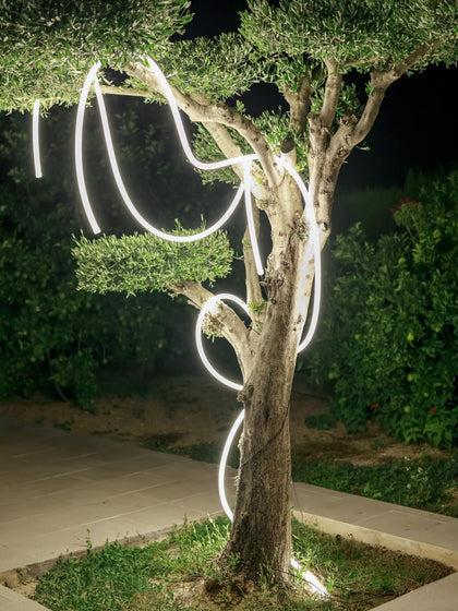 Westwing Guirnalda De Luces LED Para Exterior Neo