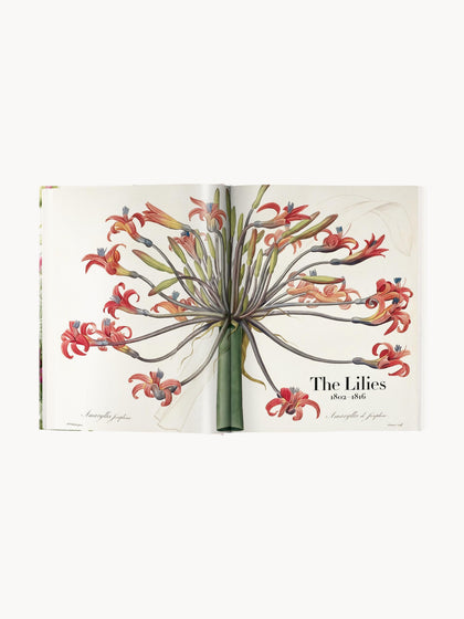 Westwing Libro Ilustrado Book Of Flowers